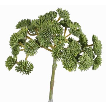 Sedum artificiale DANICA, verde, 20cm, Ø10cm Sedum artificiale DANICA, verde, 20cm, Ø10cm