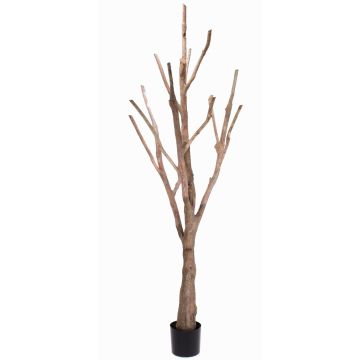 Tronco d'albero artificiale senza foglie WILKO con rami, marrone, 215cm