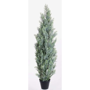 Cipresso artificiale GEROME, verde-grigio, 150cm Cipresso artificiale GEROME, verde-grigio, 150cm