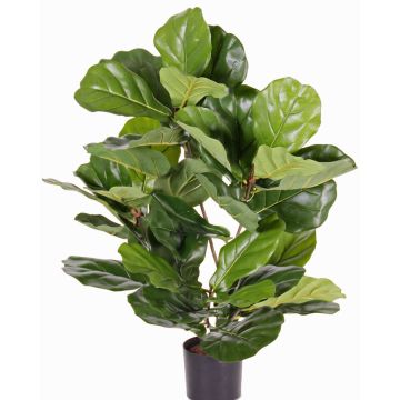 Ficus lyrata artificiale RHYS, zona trasversale, verde, 70cm Ficus lyrata artificiale RHYS, zona trasversale, verde, 70cm