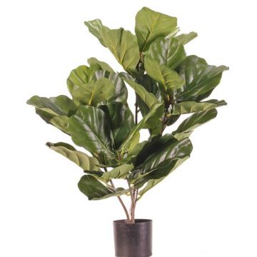 Ficus lyrata artificiale RHYS, zona trasversale, verde, 70cm