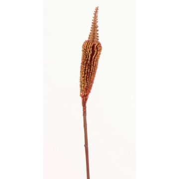 Bulbinella artificiale TALUNA, marrone-rosso, 65cm, Ø4cm