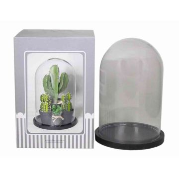 Cupola in vetro SABIKA con base in legno, trasparente, 30cm, Ø22cm Cupola in vetro SABIKA con base in legno, trasparente, 30cm, Ø22cm