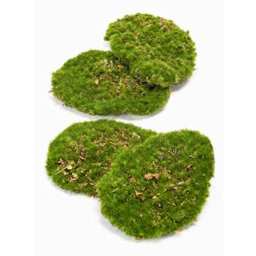 Pezzi di muschio artificiale per decorare HEFEI, 4 pezzi, verde, 11x15x15x5cm Pezzi di muschio artificiale per decorare HEFEI, 4 pezzi, verde, 11x15x15x5cm