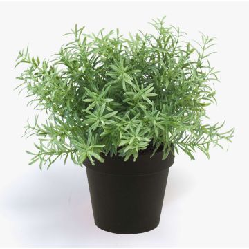 Rosmarino di plastica YANIS, verde, 20cm