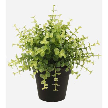 Eucalipto di plastica YANIS, verde, 20cm