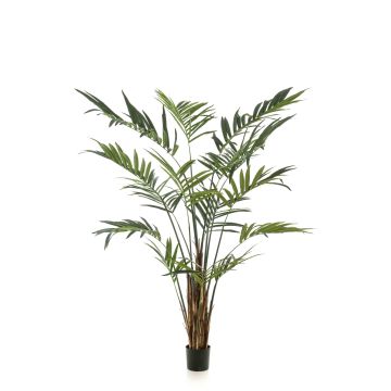 Palma kentia artificiale TIRO, 270cm