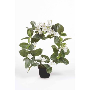 Corona di gelsomino del Madagascar artificiale ALTAY, bianco, 40cm