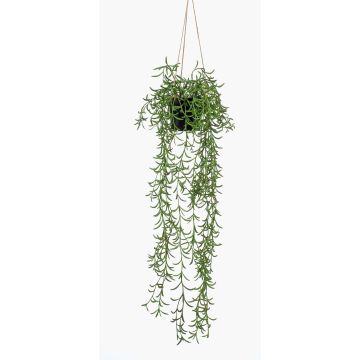 Cestino pensile di senecio artificiale BOLTEN, verde, 70cm Cestino pensile di senecio artificiale BOLTEN, verde, 70cm