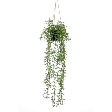 Cestino pensile di senecio artificiale BOLTEN, verde, 70cm