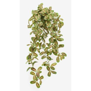 Pianta pensile di maranta artificiale PARANA su stelo, verde, 70cm Pianta pensile di maranta artificiale PARANA su stelo, verde, 70cm