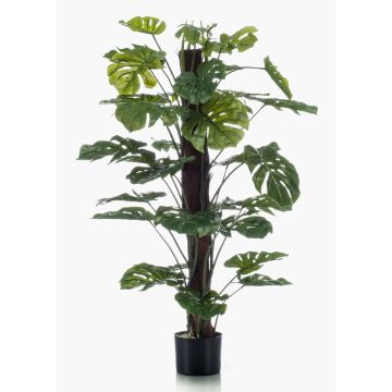 Filodendro monstera deliciosa artificiale LASO, 120cm