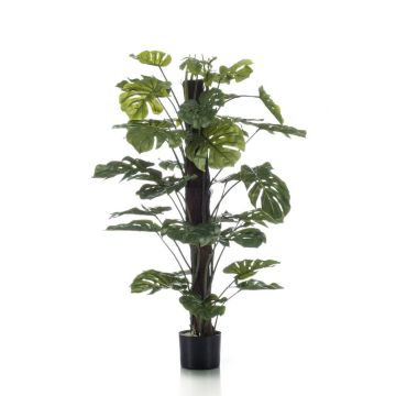 Filodendro monstera deliciosa artificiale LASO, 120cm Filodendro monstera deliciosa artificiale LASO, 120cm