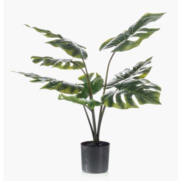 Filodendro monstera deliciosa di plastica TREA, 60cm