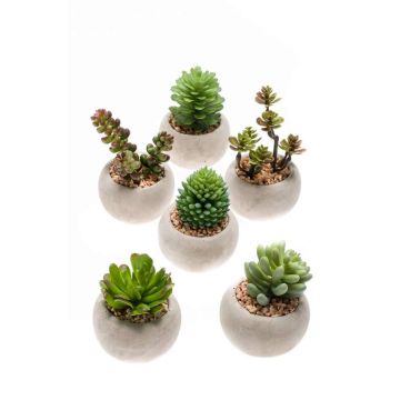Succulente artificiali CAMBELA in vaso di cemento, 6 pezzi, multicolore, Ø6,5cm
