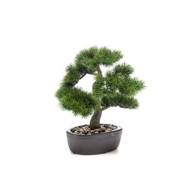 Pino bonsai di plastica GALDOS in ciotola, 30cm Pino bonsai di plastica GALDOS in ciotola, 30cm