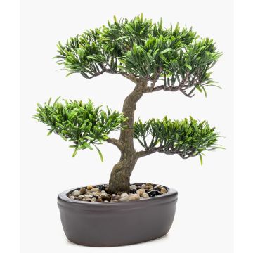 Podocarpus bonsai di plastica GOYA in ciotola, 30cm