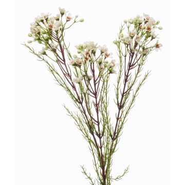 Fiore di cera artificiale MEDEA, crema, 80cm