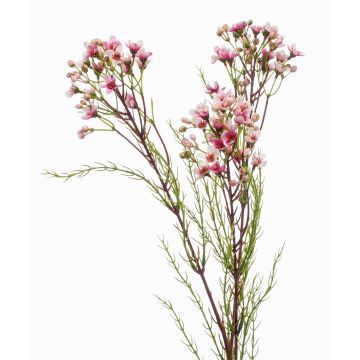 Fiore di cera artificiale MEDEA, rosa, 80cm