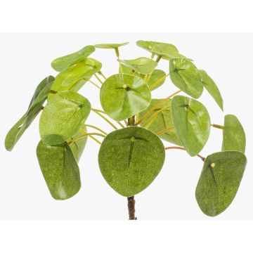 Pianta delle monete artificiale SYBIL su stelo, verde, 13cm