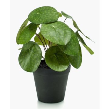 Pianta delle monete artificiale SYBIL, verde, 20cm
