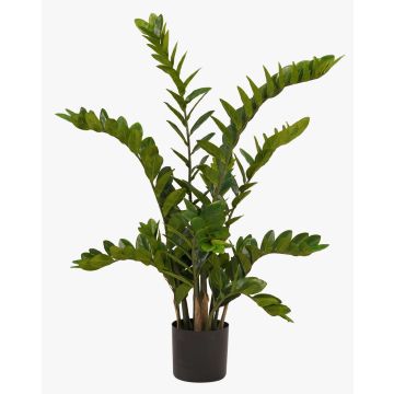 Pianta artificiale zamioculcas SIMANO, 110cm