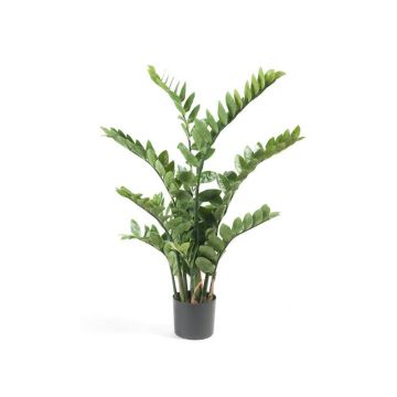 Pianta artificiale zamioculcas SIMANO, 110cm Pianta artificiale zamioculcas SIMANO, 110cm