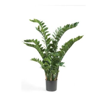 Pianta artificiale zamioculcas SIMANO, 130cm