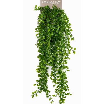 Fico rampicante artificiale BASQUIAT su stelo, 80cm