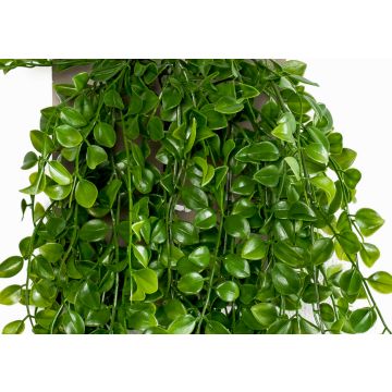 Fico rampicante artificiale BASQUIAT su stelo, 80cm