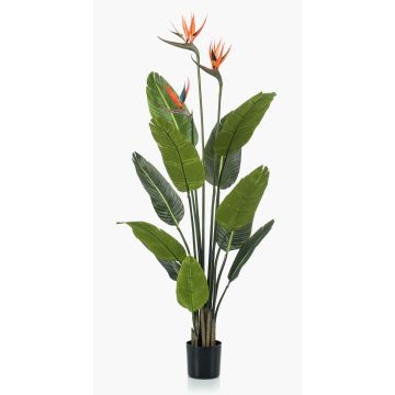 Strelitzia artificiale TAPIES, arancione-viola, 120cm