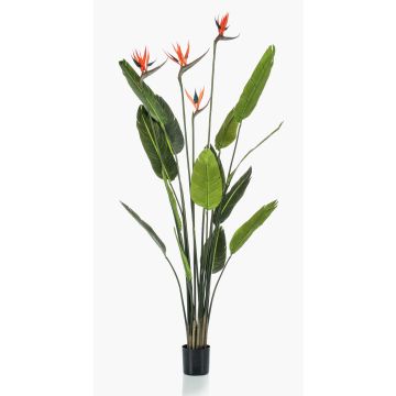 Strelitzia artificiale TAPIES, arancione-viola, 150cm