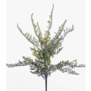Felce polystichum artificiale INDIVAR su stelo, verde, 30cm