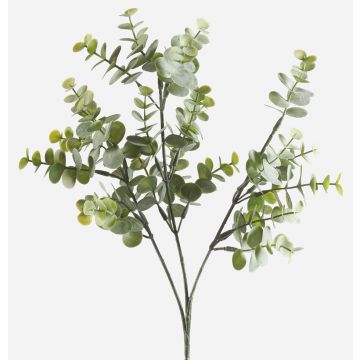 Ramo d'eucalipto artificiale GIV, verde-grigio, 65cm