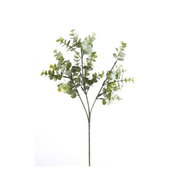 Ramo d'eucalipto artificiale GIV, verde-grigio, 65cm Ramo d'eucalipto artificiale GIV, verde-grigio, 65cm