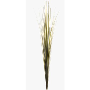 Erba di coda di volpe artificiale ZAIRA su stelo, verde, 90cm
