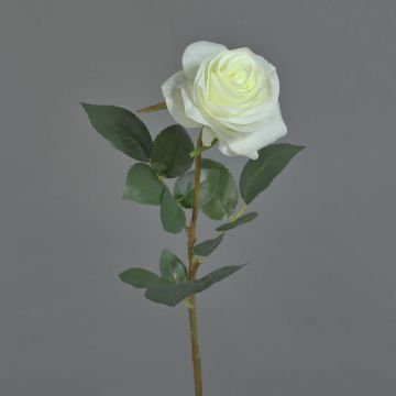 Rosa artificiale BRINA, bianco, 70cm