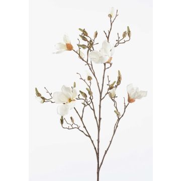 Magnolia artificiale CAELO, crema, 105cm