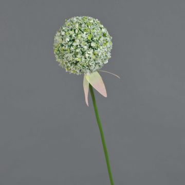 Allium artificiale DURBAN, bianco, 70cm