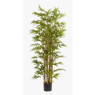 Bambù artificiale HIKITO tronchi veri, 175cm