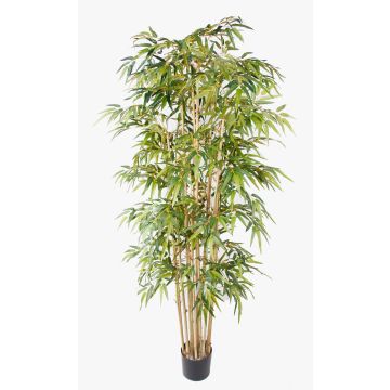 Bambù artificiale HIKITO tronchi veri, 205cm
