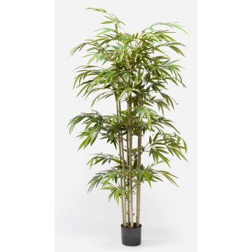 Bambù di plastica TAMANE tronchi naturali, 150cm