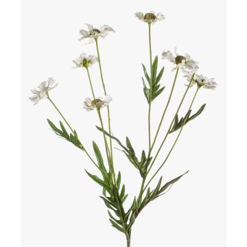 Margherita artificiale LASAI, crema, 75cm