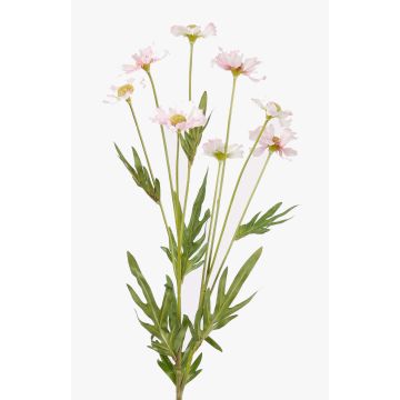 Margherita artificiale LASAI, rosa, 75cm