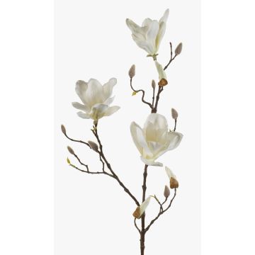 Magnolia artificiale MALVAO, crema, 90cm