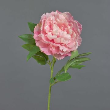 Peonia artificiale DIVIN, rosa, 65cm