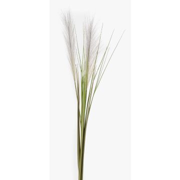 Erba di pampa artificiale ASES, pannocchie, su stelo, verde, 95cm