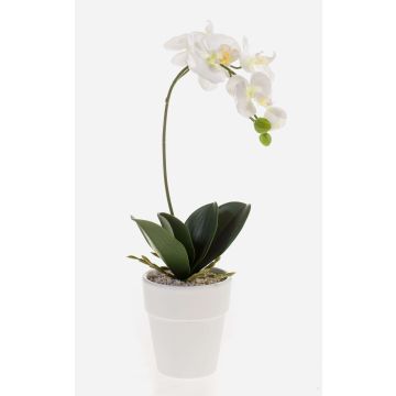 Orchidea phalaenopsis artificiale ISIS, vaso in ceramica, bianco, 40cm