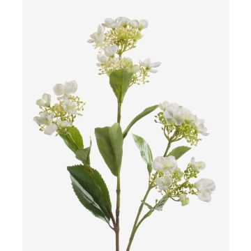Ortensia artificiale ALAZNE, crema, 75cm