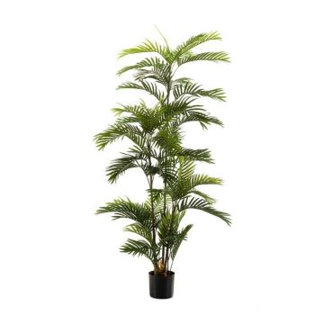 Palma areca artificiale FEDERICO, 180cm